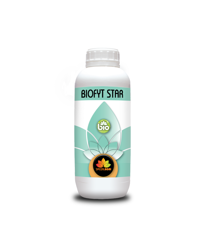 BIOFYT STAR